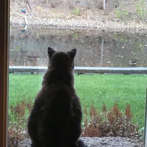 Meet your Posher, Deeanne